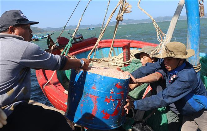 Quảng Nam: Vùng Cảnh sát biển 2 hỗ trợ ngư dân vươn khơi, bám biển ảnh 1