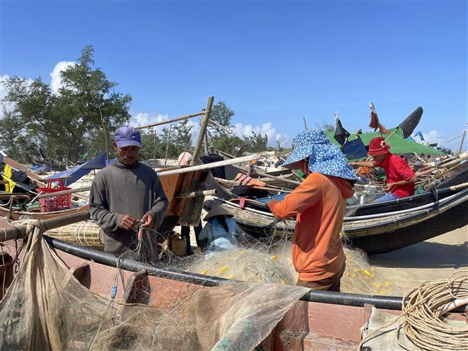 Ngư dân vùng bãi ngang Quảng Trị được mùa đánh bắt hải sản ảnh 1