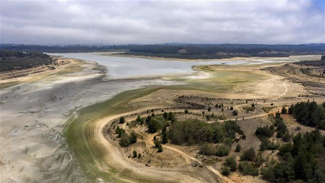 Thúc đẩy chính sách để giải quyết tình trạng khẩn cấp về khí hậu ảnh 1