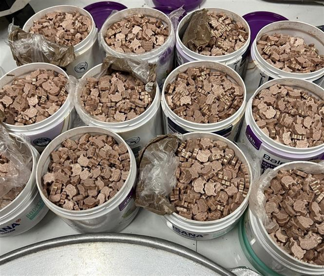 Đồng Nai: Triệt phá đường dây mua bán, tàng trữ hơn 10.000 viên ma túy ảnh 2