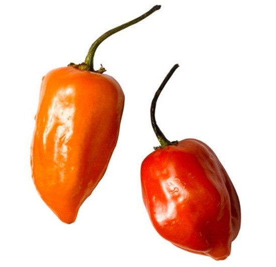 Những bí quyết giảm cân hiệu quả mà không cần "toát mồ hôi" ảnh 9