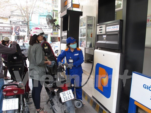 [Video] Mạng lưới phân phối xăng E5 chưa đáp ứng người tiêu dùng ảnh 1
