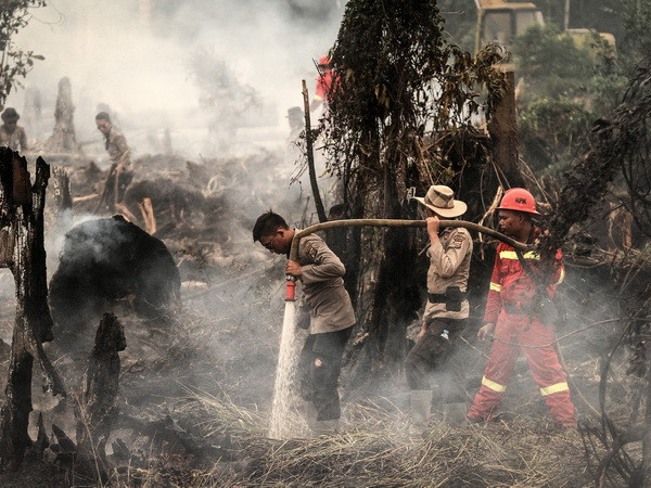 Cháy rừng ở Indonesia làm ảnh hưởng tới một số chuyến bay ảnh 1