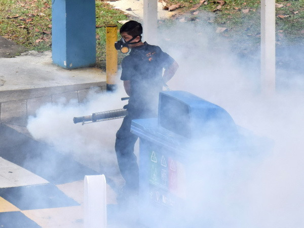 Singapore bắt đầu chiến dịch diệt muỗi mang virus Zika ảnh 1