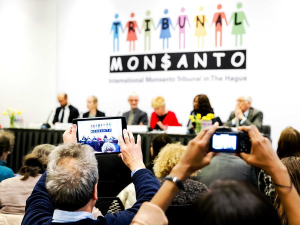 Phiên tòa luận tội tập đoàn hóa chất Monsanto tại La Hay (Hà Lan) ngày 18/4. (Nguồn: AFP/TTXVN) Yêu cầu thành lập ủy ban điều tra Monsanto vì hủy hoại môi trường ảnh 1