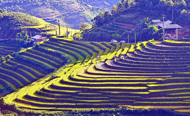 Ruộng bậc thang mùa nước đổ ở Lào Cai thu hút du khách ảnh 1