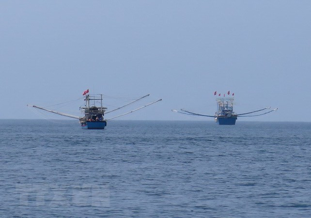 Ảnh minh họa. (Nguồn: TTXVN) Khắc phục “thẻ vàng” IUU: Thủy sản Việt Nam trước giờ G ảnh 1