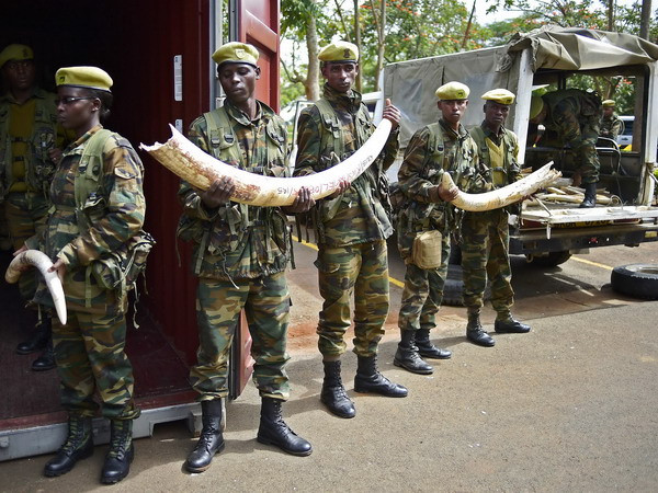 Kenya tiến hành tiêu hủy ngà voi số lượng lớn nhất từ trước tới nay ảnh 1