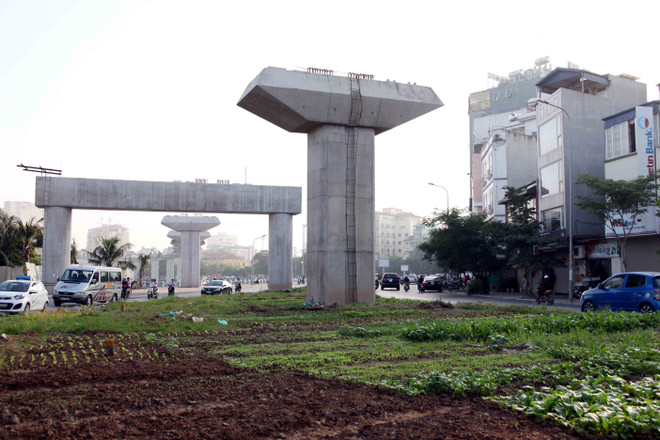 Hà Nội: Đường sắt đô thị chậm tiến độ, dân tranh thủ trồng rau xanh ảnh 4