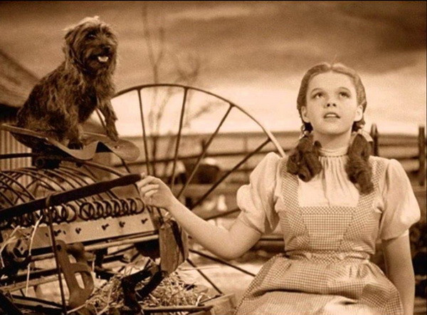 "Giày cầu vồng" tiếp tục gây bão ở làng thời trang thế giới ảnh 2