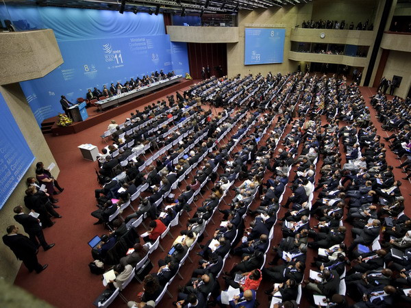 Yemen trở thành thành viên thứ 160 của Tổ chức WTO ảnh 1