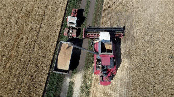 Ukraine lên kế hoạch xây bến cảng ngũ cốc ở Nigeria phục vụ châu Phi ảnh 1