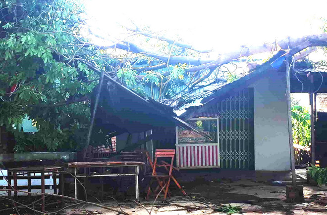 Đắk Lắk: Mưa lớn, lốc xoáy gây thiệt hại về người và tài sản ở Ea Súp ảnh 1