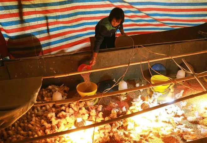 Hà Nội: Nâng cao thể trạng và tầm vóc cho đồng bào 13 xã miền núi ảnh 1