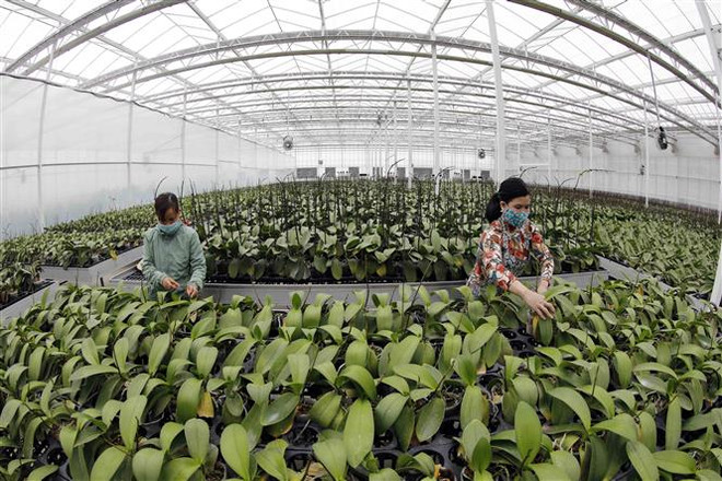 Tạo điều kiện tốt nhất cho doanh nghiệp đến đầu tư tại Hòa Bình ảnh 2