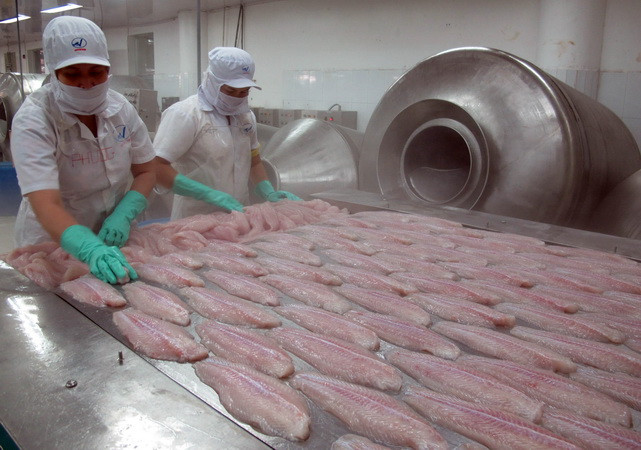 [Video] Cá tra, basa Việt Nam tiếp tục bị Mỹ áp thuế chống bán phá giá ảnh 1