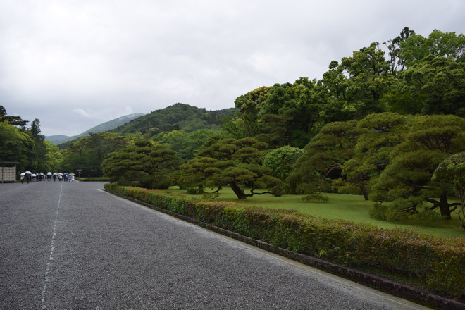 Hành hương về nơi linh thiêng nhất của Xứ sở Mặt trời mọc ảnh 5