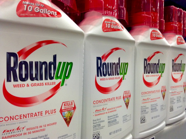 Chưa thể kết luận chất glyphosate trong thuốc diệt cỏ gây ung thư ảnh 1
