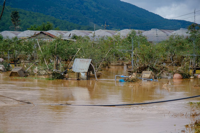 Lâm Đồng: Huy động lực lượng hỗ trợ người dân vùng bị ngập lụt ảnh 1