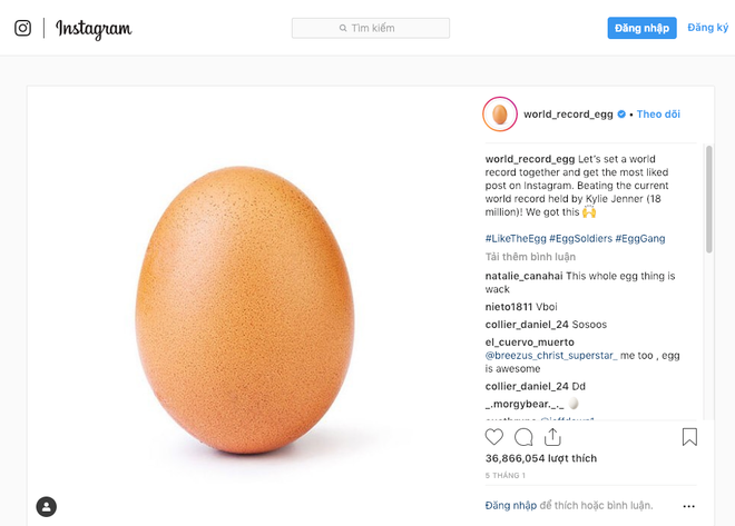 Chuyện lạ: Bức ảnh quả trứng phá kỷ lục thế giới trên Instagram ảnh 1