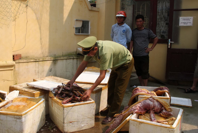 Thanh Hóa bắt giữ xe tải chở 650kg thịt lợn bốc mùi hôi thối ảnh 1