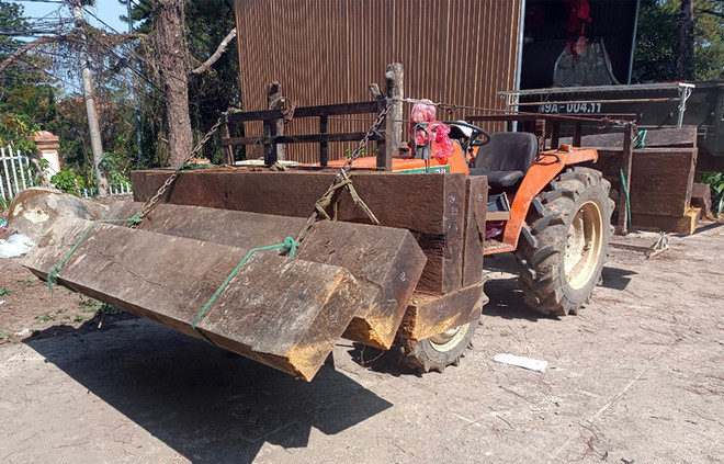 Lâm Đồng: Bắt quả tang vụ dùng máy cày chuyển gỗ trái phép trong đêm ảnh 1