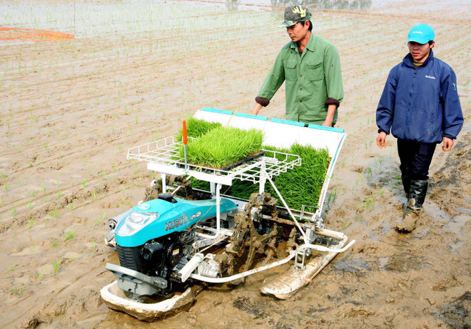 "Đoàn kết, nỗ lực thực hiện tốt hơn chính sách tam nông" ảnh 2
