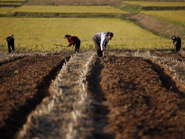 Hàn Quốc phê chuẩn kế hoạch viện trợ phân bón cho Triều Tiên ảnh 1