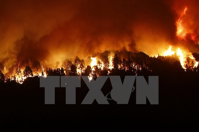 Hơn 200 vụ cháy rừng đã bùng lên ở khu vực phía Tây Canada ảnh 1