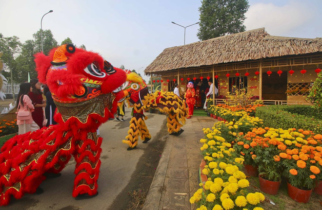 hau giang_duong hoa xuan (3).jpg