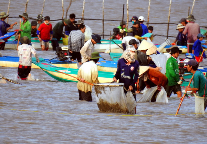 Cà Mau khẩn trương xử lý tranh chấp khai thác nghêu ở xã Đất Mũi ảnh 1
