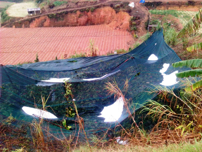 Mưa đá kèm lốc xoáy tại Đắk Nông gây thiệt hại hơn 2 tỷ đồng ảnh 1