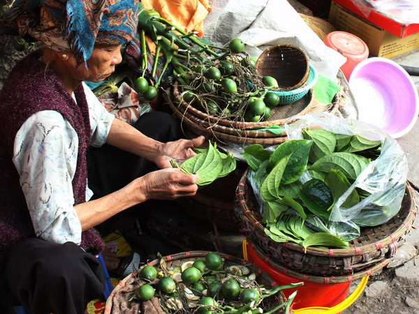 Cảnh giác trước hiện tượng ráo riết thu mua quả cau non với giá cao ảnh 1