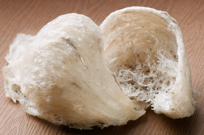 Phát hiện bắt giữ vụ buôn lậu tổ yến trị giá hơn 1,6 tỷ đồng ảnh 1