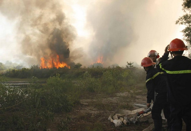 Thừa Thiên-Huế: Cháy khoảng 10ha rừng tại vùng cát Quảng Điền ảnh 1