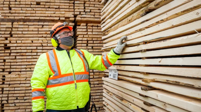 Ottawa chính thức phản đối việc Mỹ đánh thuế gỗ xẻ mềm của Canada ảnh 1