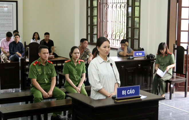 Án phạt nghiêm khắc với đối tượng lừa đảo chiếm đoạt gần 240 tỷ đồng ảnh 1