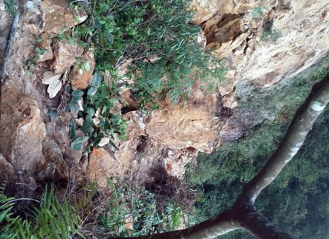 Đã thông đường qua điểm sạt lở gây ách tắc tuyến quốc lộ 4D ảnh 1