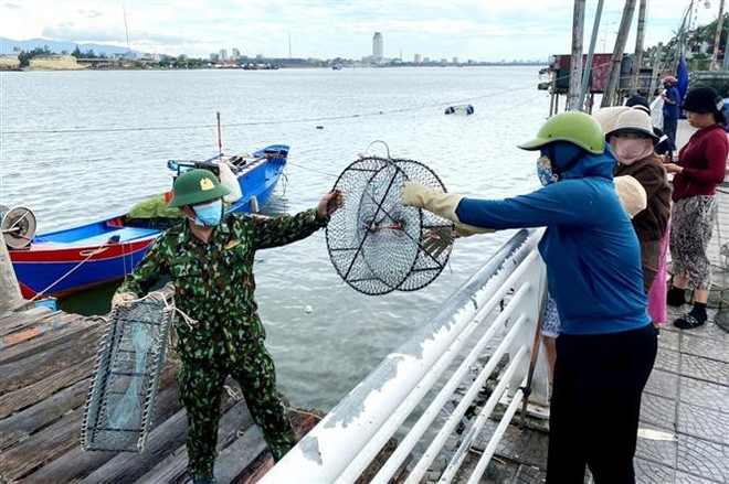 Xác minh hai tàu cá đâm chìm tàu của ngư dân Cà Mau rồi bỏ chạy ảnh 1