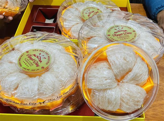 Gia Lai: Nhiều gia đình ở huyện Chư Sê chuyển sang nuôi chim yến ảnh 3