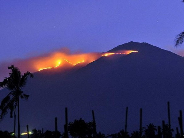 [Video] Indonesia công bố 7 doanh nghiệp ngoại liên quan cháy rừng ảnh 1