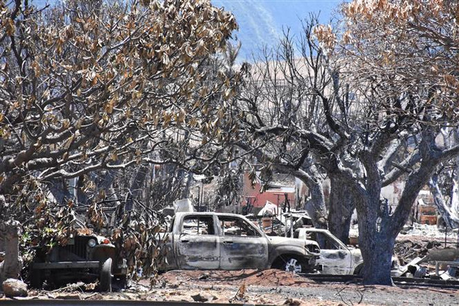 Thảm họa cháy rừng tại ở Hawaii: 385 người vẫn đang mất tích ảnh 1