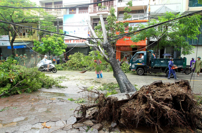 Bão số 3 khiến hơn 294.000 khách hàng của EVN chịu cảnh mất điện ảnh 1