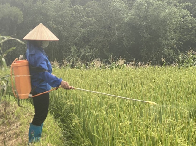 cao bang_chau chau 2.jpg