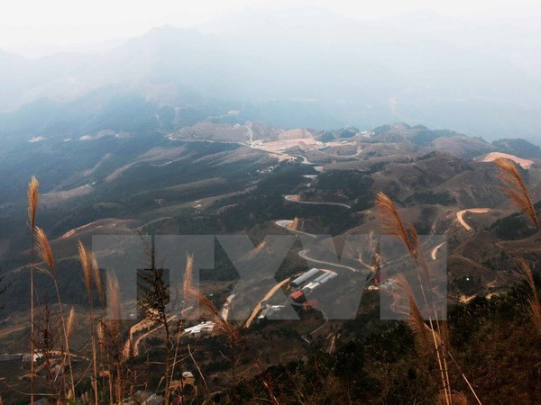 Mẫu Sơn thấp nhất 1 độ C, Lạng Sơn yêu cầu dân không thả rông trâu bò ảnh 1