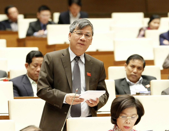 Đại biểu Quốc hội: Cần thể chế hóa vấn đề quân đội làm kinh tế ảnh 1