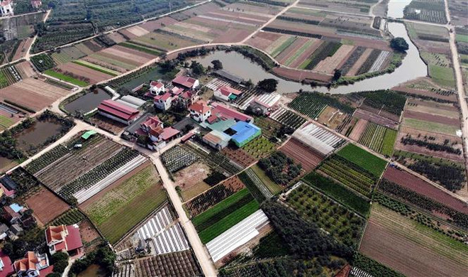 Diện tích chuyển đổi từ trồng lúa sang mô hình trồng hoa cây cảnh đem lại kinh tế cao tại xã Mễ Sở, huyện Văn Giang (Hưng Yên). (Ảnh: Phạm Kiên/TTXVN) Phê duyệt quy hoạch đô thị Văn Giang của tỉnh Hưng Yên đến năm 2040 ảnh 1