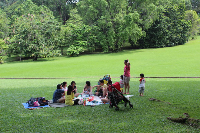 Dinh thự Tổng thống Singapore mở cửa cho công chúng ảnh 10