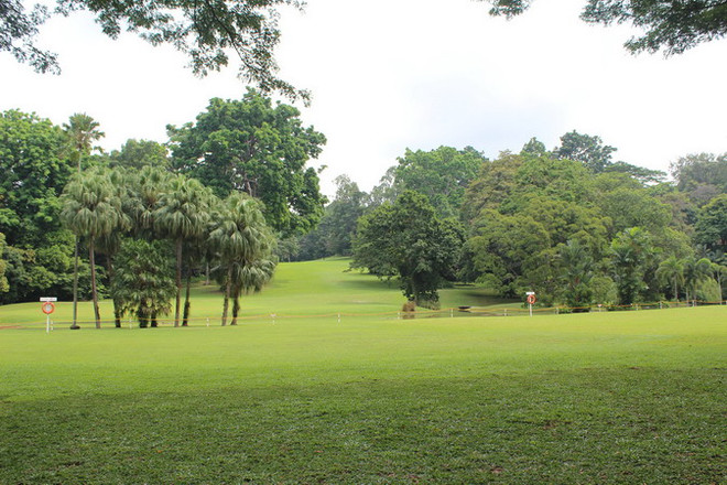 Dinh thự Tổng thống Singapore mở cửa cho công chúng ảnh 7