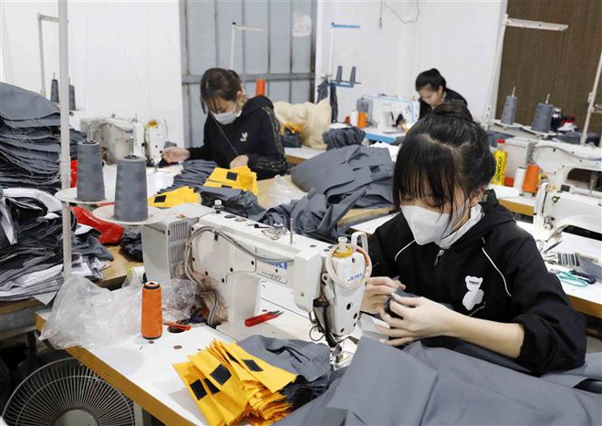 Đăng ký kinh doanh và thuế: Hộ kinh doanh chỉ cần nộp một bộ hồ sơ ảnh 1